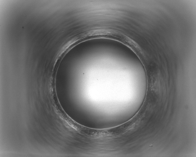 X0000063520786200601231514