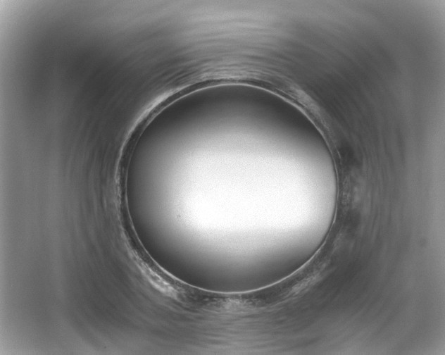 X0000063520787200601231514