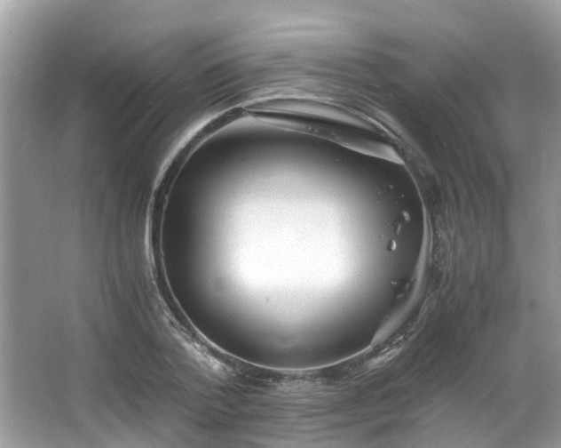 X0000063520788200601231514