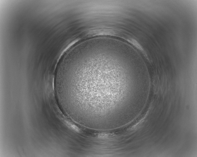 X0000063520790200601231514