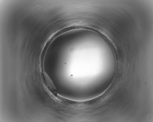 X0000063520791200601231514