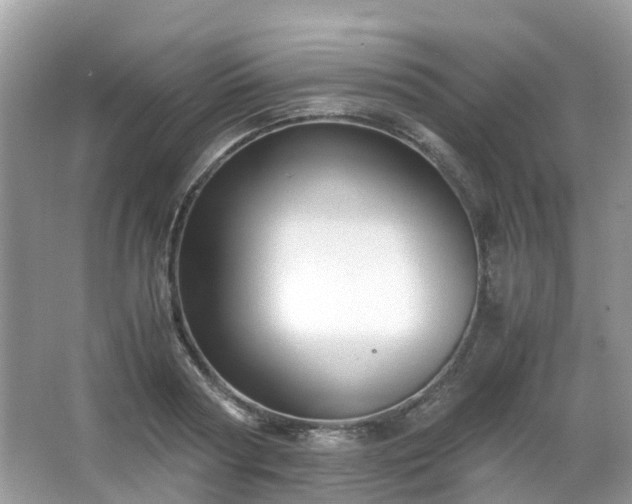 X0000063520794200601231514