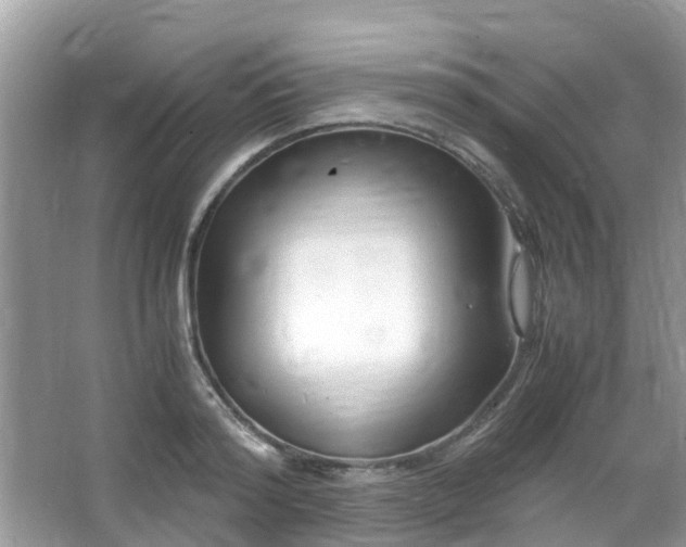 X0000063520796200601231514