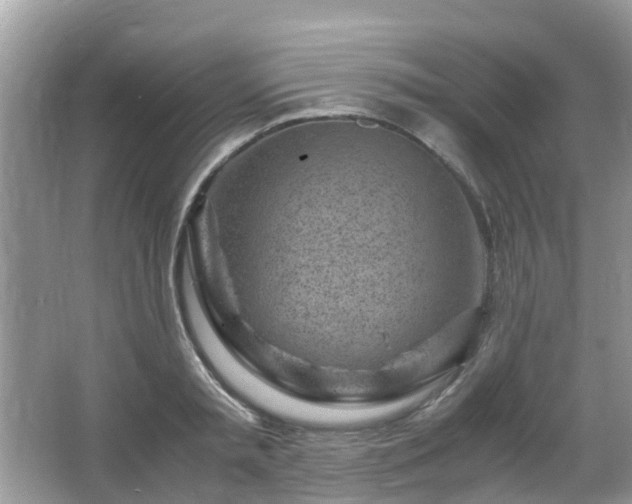 X0000063520797200601231514