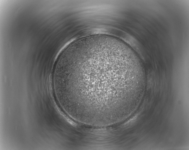 X0000063520798200601231514