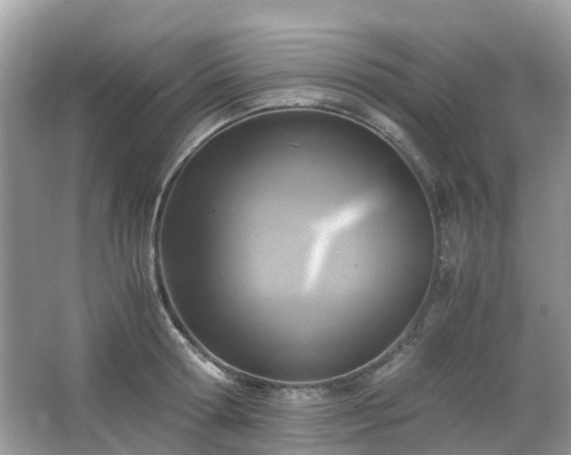 X0000063520802200601231514