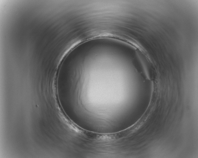 X0000063520806200601231514