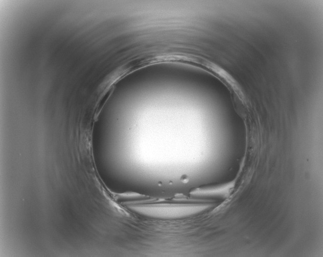 X0000063520809200601231514