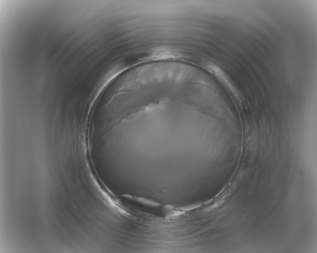 X0000063520810200601231514