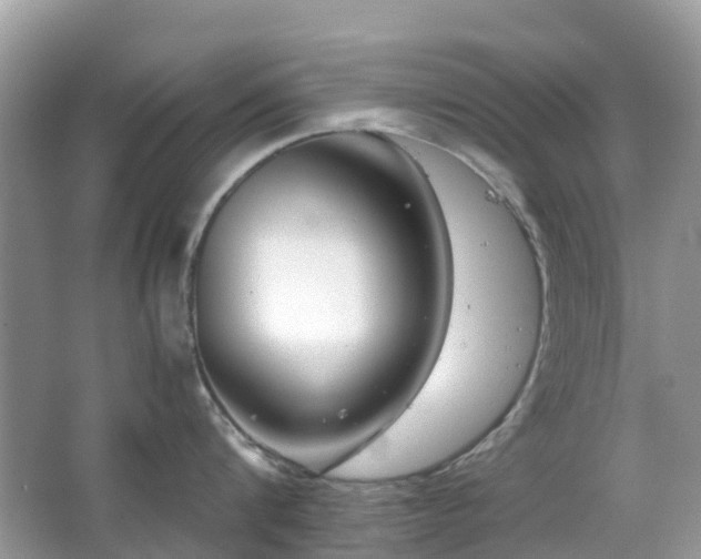 X0000063520816200601231514