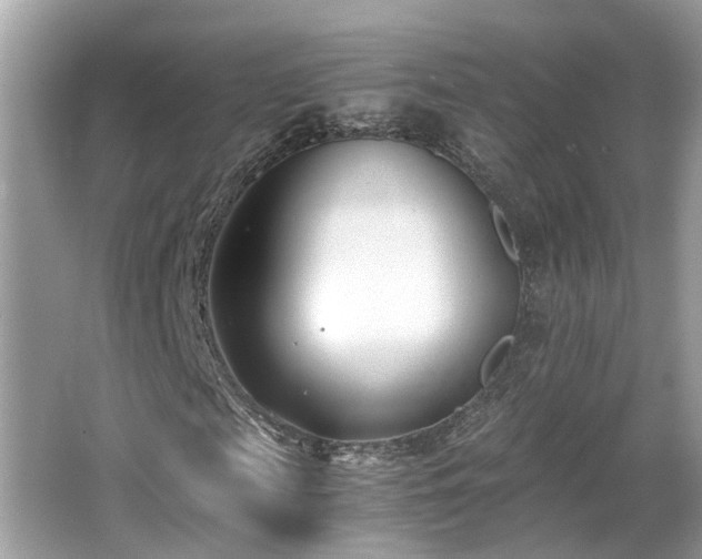 X0000063520817200601231513