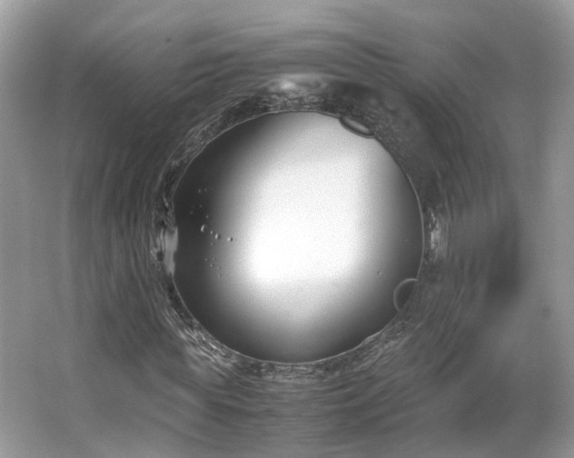 X0000063520819200601231513