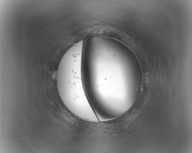 X0000063520820200601231513