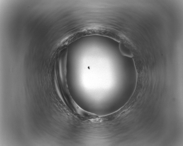 X0000063520822200601231513