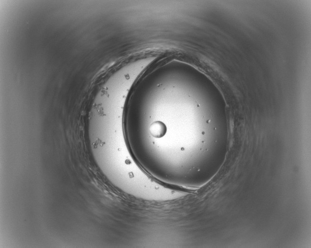 X0000063520824200601231513