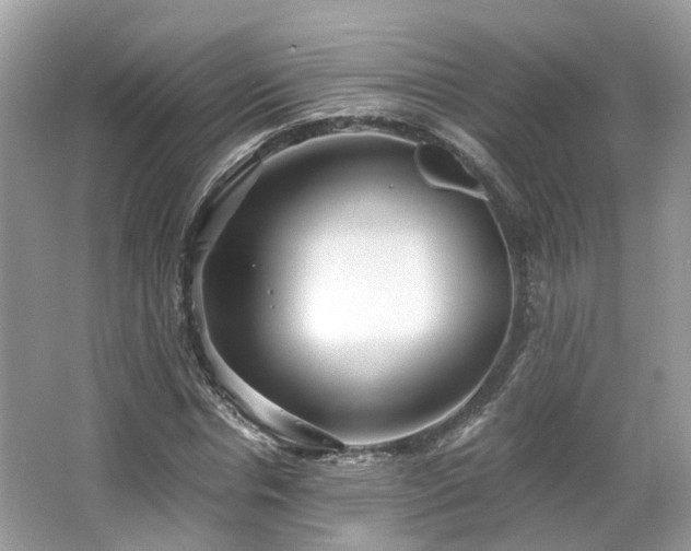 X0000063520826200601231513