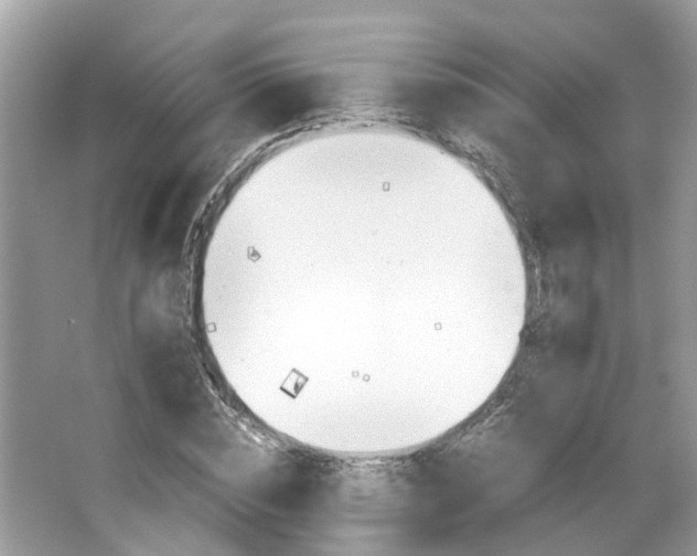 X0000063520828200601231513