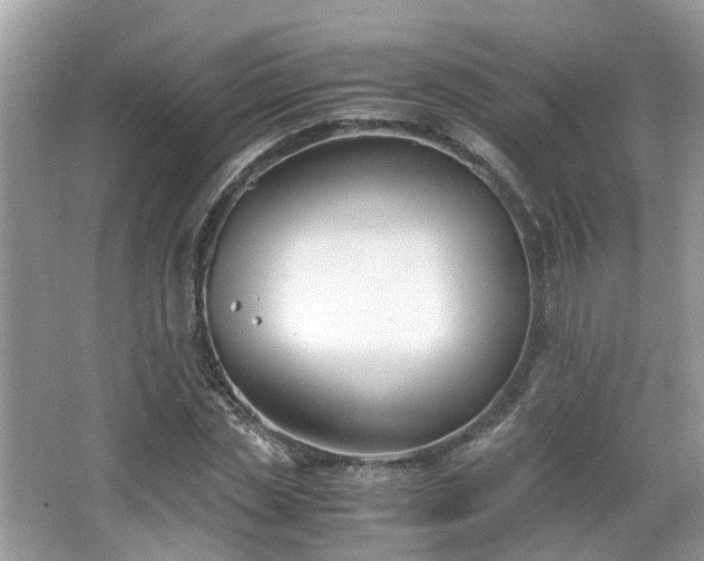 X0000063520829200601231513