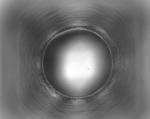 X0000063520833200601231513