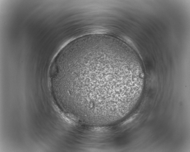 X0000063520835200601231513