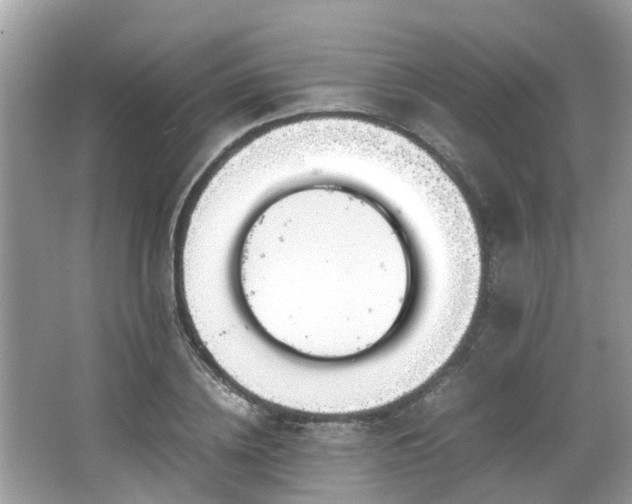 X0000063520836200601231513