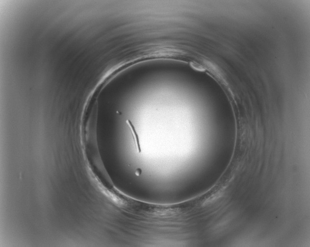 X0000063520843200601231513