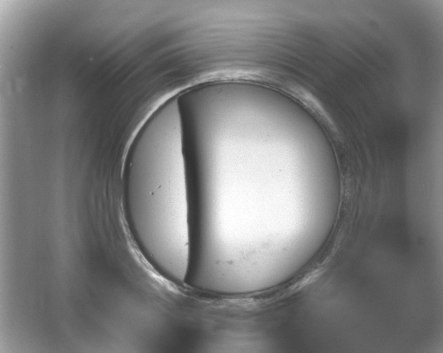 X0000063520844200601231513