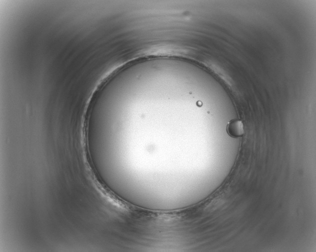 X0000063520848200601231514