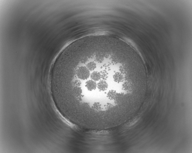 X0000063520851200601231514