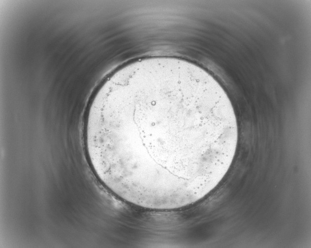 X0000063520856200601231514