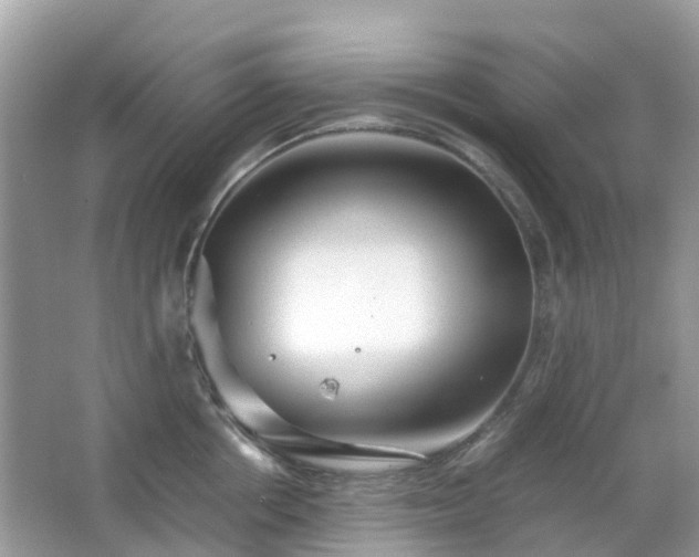 X0000063520858200601231514