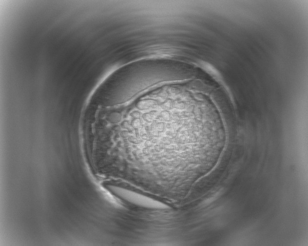 X0000063520859200601231514