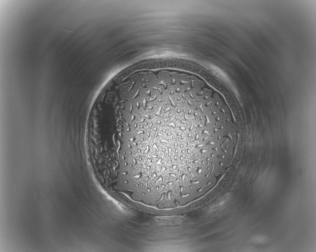 X0000063520863200601231514