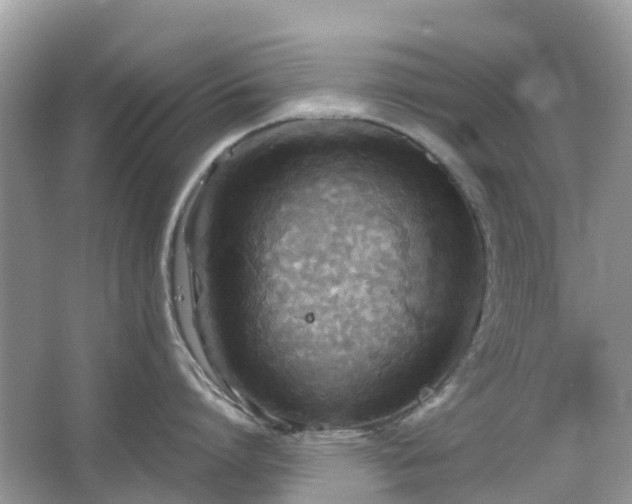 X0000063520864200601231514