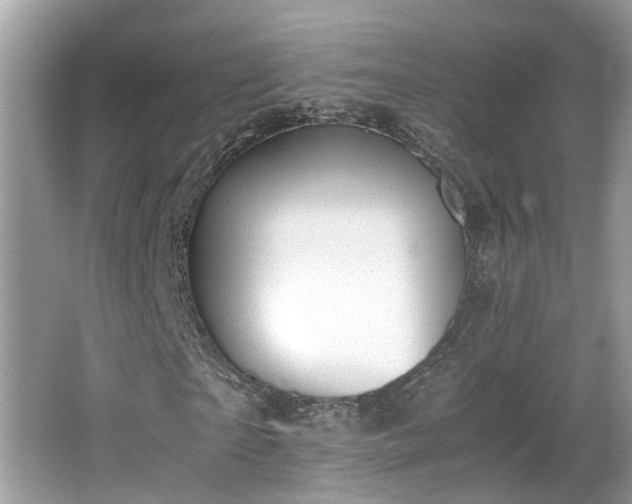 X0000063520865200601231513