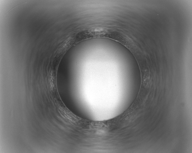 X0000063520866200601231513