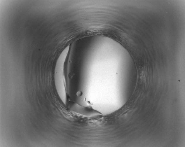 X0000063520868200601231513