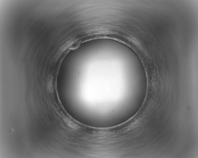 X0000063520873200601231513