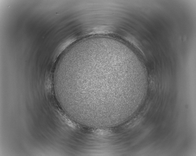 X0000063520874200601231513