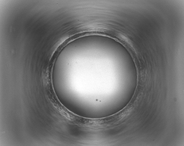 X0000063520875200601231513