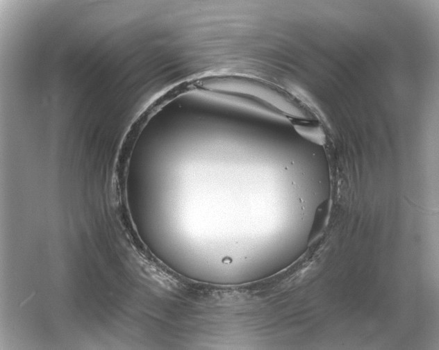 X0000063520876200601231513