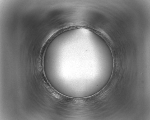 X0000063520878200601231513