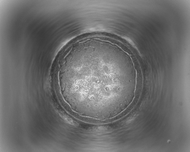 X0000063520879200601231513