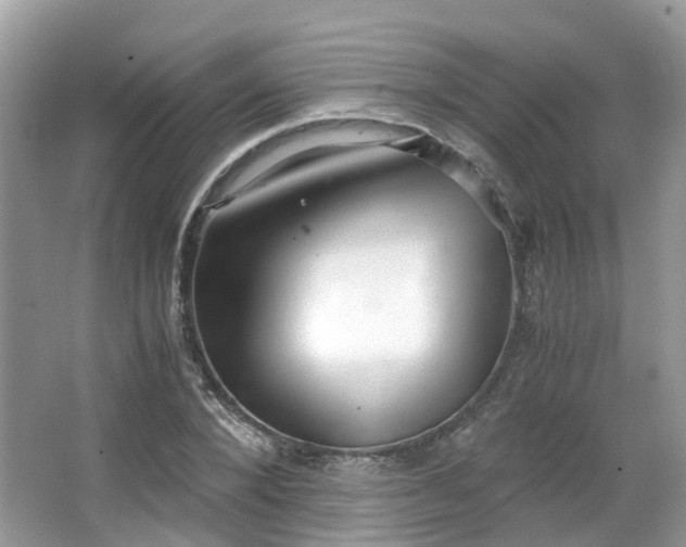 X0000063520880200601231513