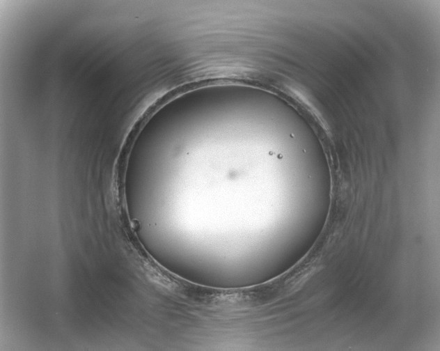 X0000063520883200601231513