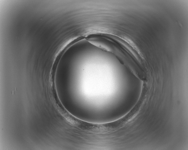 X0000063520885200601231513