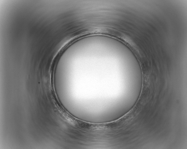 X0000063520886200601231513