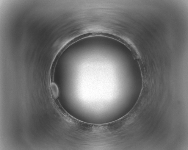 X0000063520887200601231513