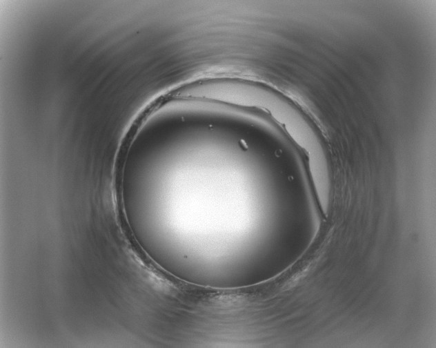 X0000063520888200601231513