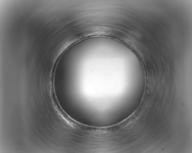 X0000063520890200601231513